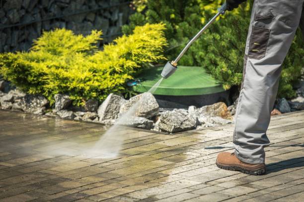 South Holland, IL Pressure Washing Pros