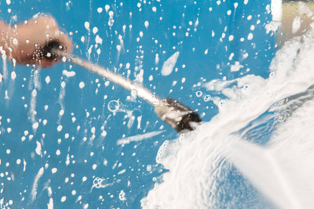 Best Dumpster Area Cleaning  in South Holland, IL