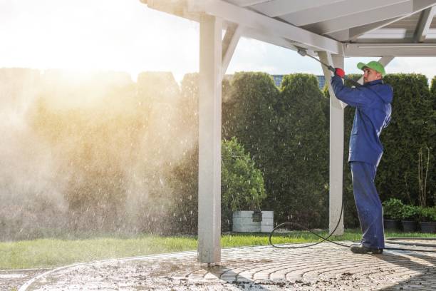 Best Sidewalk and Walkway Cleaning  in South Holland, IL
